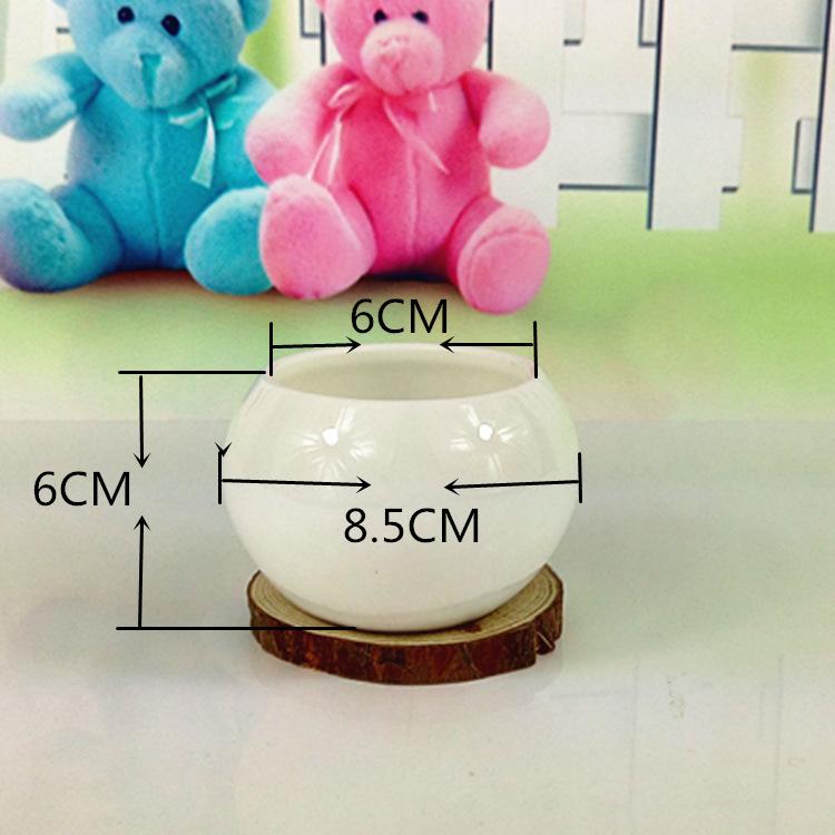 P60624-104103_副本