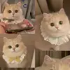 Babeo de Encaje de Algodón Puro para Gato Mascota Lazo Lindo Bufanda Decorativa Babero para Perro Accesorios