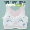 Sujetador Transpirable Sin Costuras de Seda Helada con Bloques de Color y Almohadillas Fijas en el Pecho con Temática de Gatos Lindos para Adolescentes