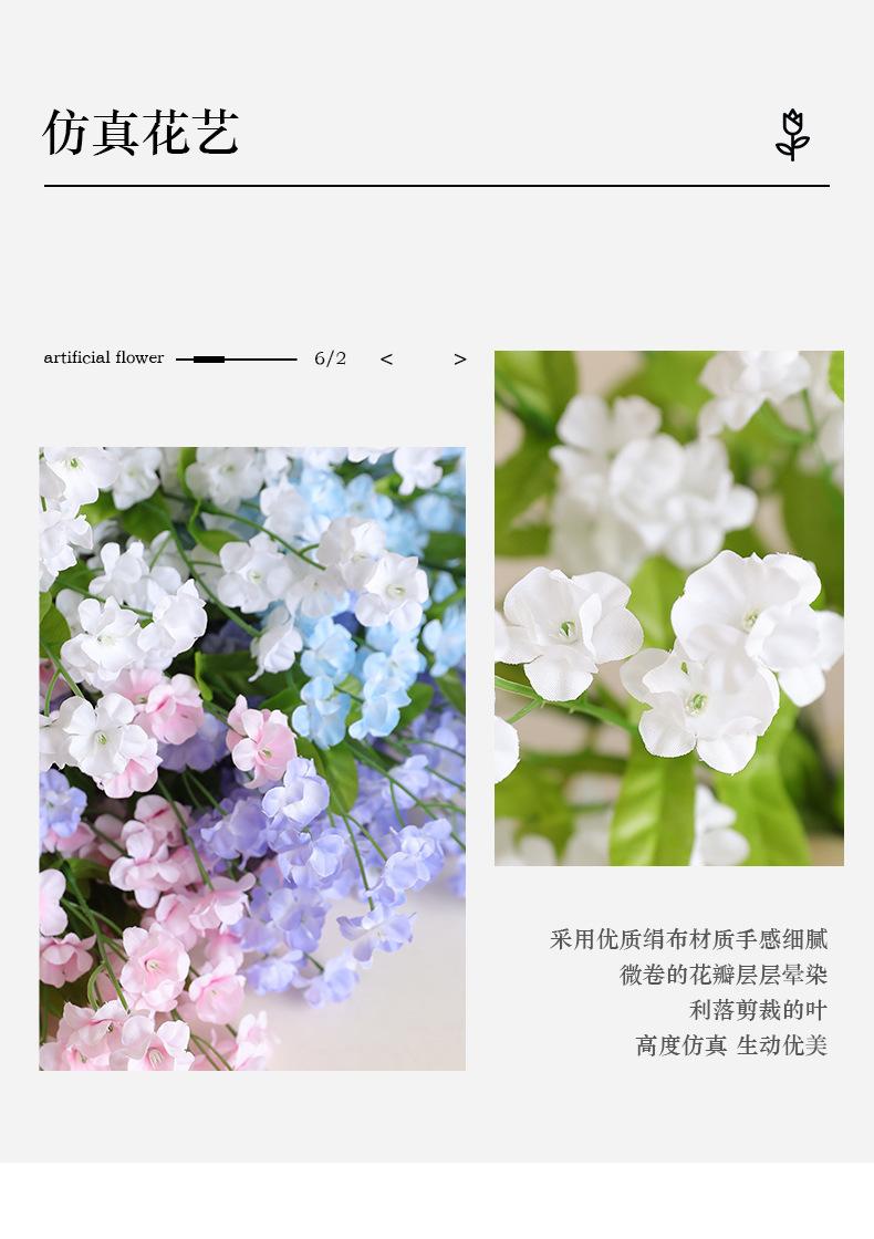 春语3叉勿忘我_02.jpg