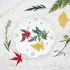 Conjunto de espécimes de flores de plantas secas, flores prensadas naturais para decoração DIY, marcadores de página de flores prensadas, espécimes de plantas para fundição em resina