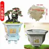 Molde Grande para Maceta Maceta de Cemento Plantilla de Plástico DIY Modelo Grande Extra Grande de Plato para Flores Productos Creativos para Bonsái