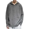 Suéter com Capuz Popular Europeu Tamanho Grande Masculino Estilo Coreano Estilo Old Money Tendência Outono e Inverno High-End Atacado de Fábrica