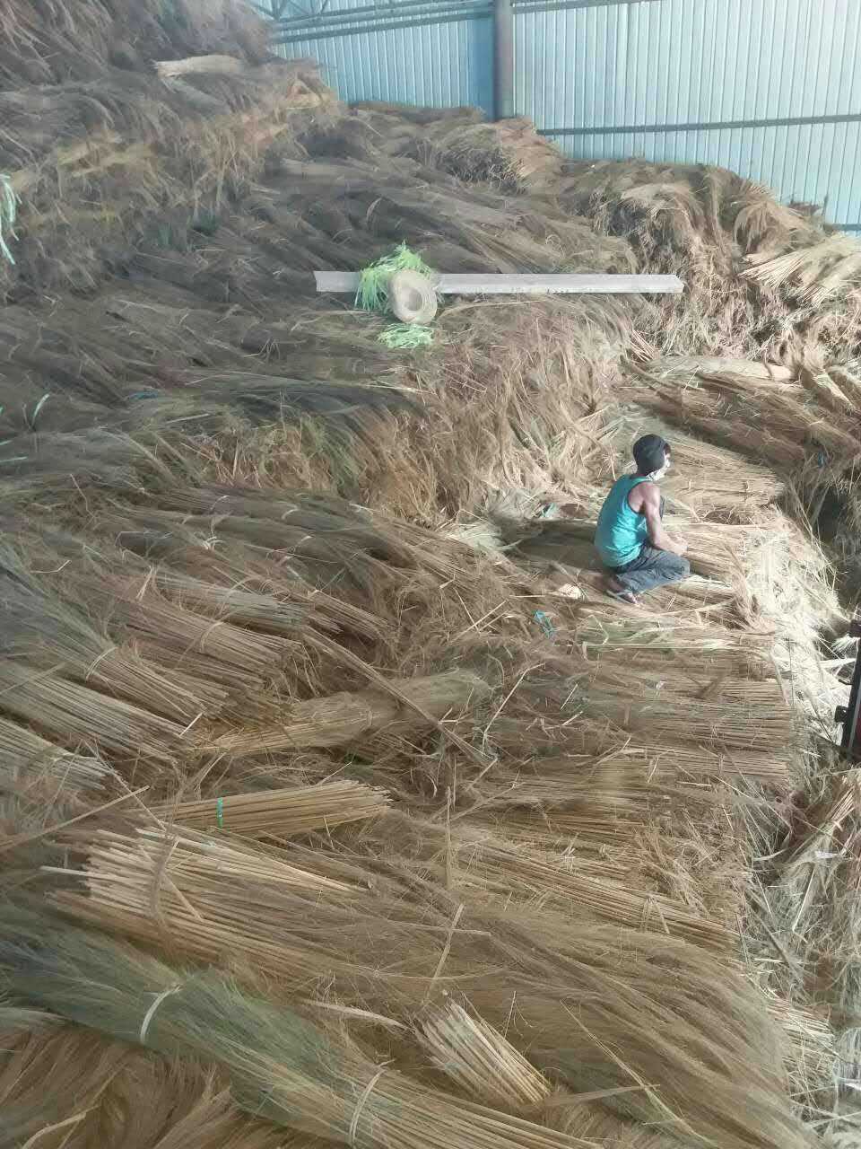 76830587215481312