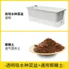 Maceta Rectangular de Autorriego para Uso Doméstico para Cultivar Cebollas, Maceta Pequeña para Cebollas de Balcón con Tierra, Maceta para Verduras con Pintura Colorida