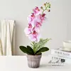 Flor Artificial com 6 Cabeças e 4 Frutas, Bonsai de Orquídea Borboleta com Toque Real, Flor Falsa para Decoração de Casa, Fotografia, Casamento, Arranjo Floral Artificial