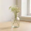 Jarrón de cristal transparente con patrón de glaciar, minimalista, transfronterizo, para plantas verdes hidropónicas, arreglo floral de escritorio, jarrón de alta gama, en stock, venta al por mayor