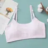 Roupa íntima nova para estudantes mulheres com bojos fixos, top tubinho fino sem aro, período de desenvolvimento, seios grandes parecem menores, faixa para seios 100% algodão para mulheres
