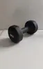 Halteres Revestidos de Plástico para Fitness Feminino, Uso Doméstico para Meninos, Adolescentes, Alunos do Ensino Fundamental e Crianças, Halteres de Ferro Fundido Sólido de Peso Total de Ferro Puro