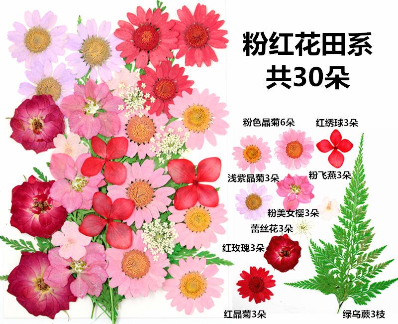 粉红花田系