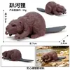 Crianças Simulação Veado-de-cauda-branca Animal Alce Veado Sika Modelo Ornamentos Sólidos Conjunto Brinquedos de Natal