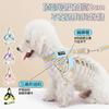 Arnés de Perro con Correa de Arcoíris Transpirable para Perros Pequeños y Medianos Cuerda para Pasear Perros Bichón Estilo Chaleco Collar para Perro