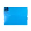 Caja de Archivo Plegable Colorida de PP con Doble Hebilla Caja de Almacenamiento de Datos para Oficina Caja de Archivo Plástica para Estudiantes Personalización