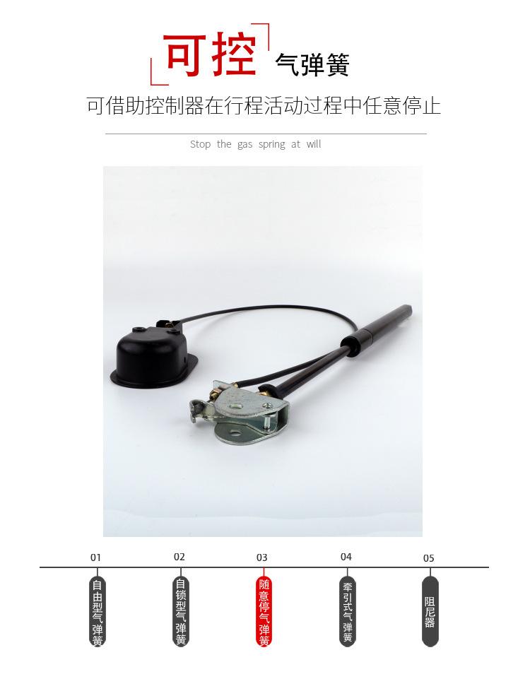 7894618636_1759179501