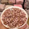 Accesorios para Uñas Tendencia Xiaohongshu Paquete de Material Color Café de Alta Gama Mezclado con Paquete de Materiales Metálicos tipo Grava Otoño Maillard