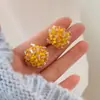 Brincos de Hortênsia com Contas de Dopamina, Brincos de Cristal Branco Brilhante, Brincos Modernos Personalizados e Versáteis Atacado
