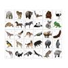 Stickers de Tatuajes Temporales de Acuarela de Animales Transfronterizos de Alta Gama Coloridos Tigre Mariposa Animal Fiesta Fiesta Stickers de Tatuajes Temporales