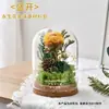 Kit de Materiais para Cúpula de Vidro com Flores Eternas DIY Enfeites de Flores Secas Oficina de Construção de Equipe Pai-Filho para Jardim de Infância Arranjo de Flores Feito à Mão