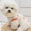 Cachorro Gato Pet Verão Fino Protetor Solar Anti-Lã Colete Roupas Corgi Bixiong Bomei Cão Pequeno Médio e Grande