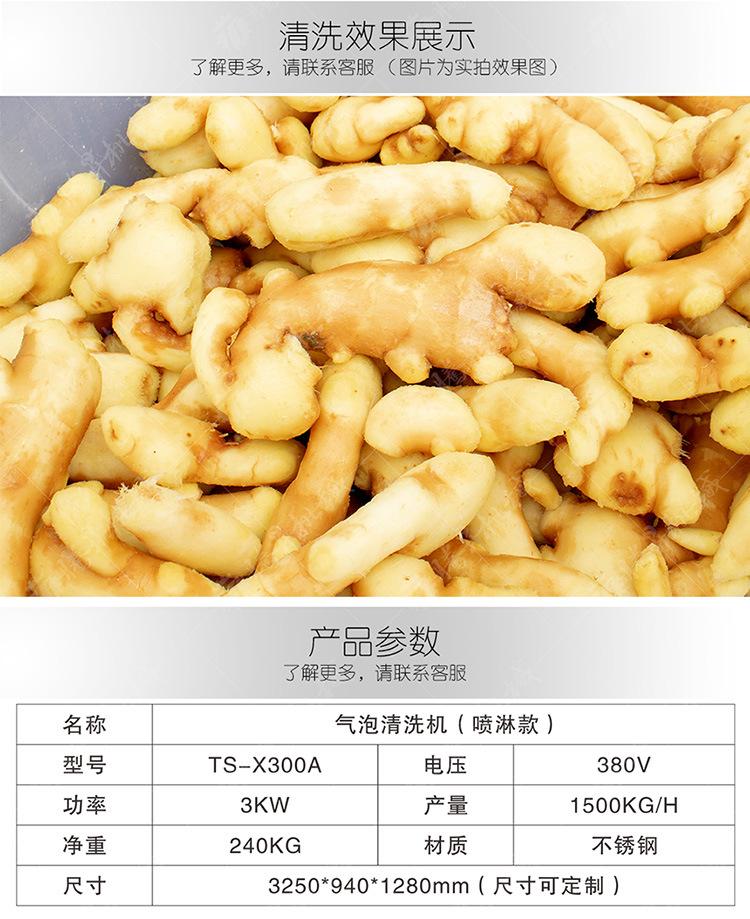 TS-X300A-气泡清洗机（喷淋款）-详情页(750px)