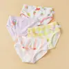 Ropa Interior Infantil Algodón Puro Clase A Ropa Interior para Bebés Niñas Cintura Media Pequeño, Mediano y Grande Pantalones Cortos Infantiles Verano Venta Directa de Fábrica Venta al por Mayor