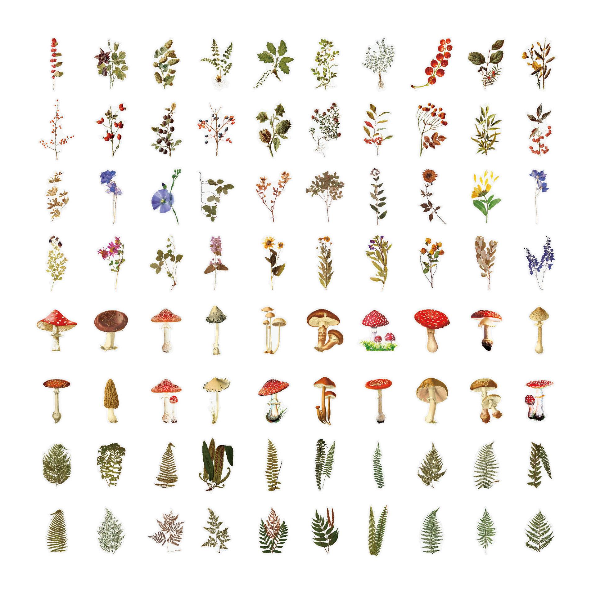 4款透明贴纸- 花卉+蘑菇-2022-1-18-02