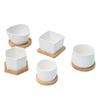 Maceteros de Cerámica para Suculentas al por Mayor Logo Impreso Decoración para el Hogar Comercio Exterior Transfronterizo Amazon Jardinería Macetas de Porcelana Blanca