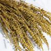 Yunnan Yongsheng Flor al por Mayor Ramo de Flor Seca de Lavanda Hecho a Mano DIY Material Floral Decoración para el Hogar Sala de Estar Arte Floral para Bodas