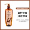 Shampoo Anticaspa Schwarzkopf Essência de Gengibre 600ml Condicionador Cuidado Capilar Controle de Oleosidade Anticaspa