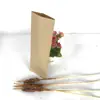Brochetas para Barbacoa Brochetas de Gluten Frito Empaque para Llevar Bolsa de Papel Kraft Bolsa para Empaque de Brochetas para Barbacoa Bolsa de Papel a Prueba de Aceite