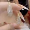 S925 agulha de prata requintado Super Flash malha zircão brincos femininos ins na moda luz de luxo nicho design avançado brincos