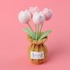 Produto Acabado de Crochê: Planta em Vaso Tulipa de Lã, Decoração de Mesa e Carro, Flor Eterna Simulada Feita à Mão, Presente para o Dia do Professor