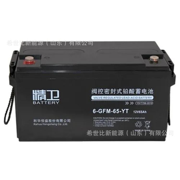 12V65AH4.webp.jpg