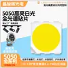 5050 Luz Branca de Alto Brilho LED Lâmpada Patch Contas Suporte de Cobre Luz Branca 5050led Contas de Lâmpada