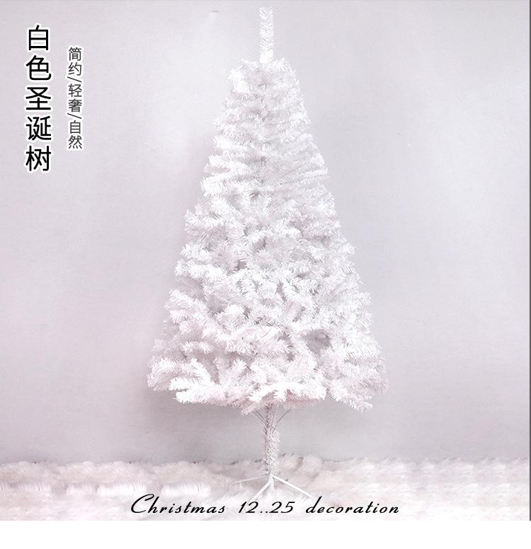 白色圣诞树_01.jpg