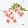 Arreglo de Escena con Flores Artificiales, Flor de Ciruelo Artificial de Tallo Único para Decoración de Sala de Estar en Casa, Superventas Transfronterizo, 15 Tallos Pequeños de Flor de Ciruelo