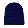 Fabricante Otoño e Invierno Cálido Gorro de Punto Placa Ligera Gorro Pulóver Estudiante Gorro Protección para las Orejas Europeo y Americano Amazon Versátil Serie Púrpura