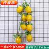Simulação fruta corda pêra laranja laranja limão melancia banana morango carambola manga colheita festival adereços decorativos