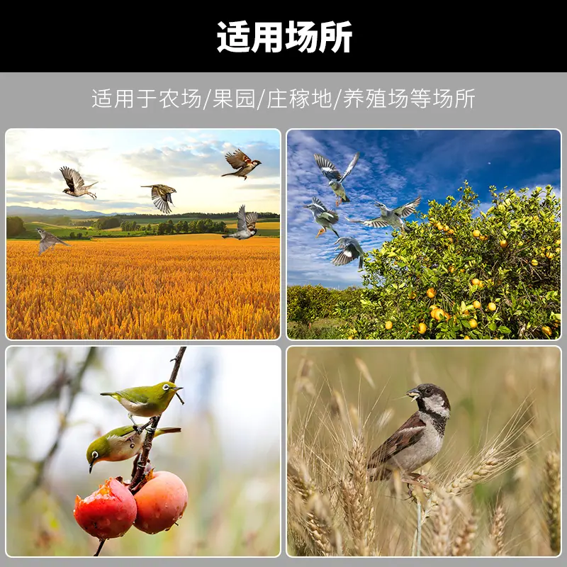 911Q-驱鸟款详情_05