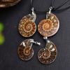 Collar con colgante de fósil de caracol natural, espécimen mineral de piedra cruda, joyería para hombres y mujeres, rebanada de amonita de caracol