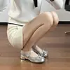 Zapatos Mary Jane Plateados Estilo Nuevo Primavera 2026 para Mujer, Adecuados para Faldas, Punta Redonda Baja, Moño, Zapatos de Tacón Grueso Estilo Francés para Mujer