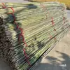 5000+ piezas bambú sólido bambú agua bambú blanco bambú amargo bambú dorado bambú cáñamo bambú al por mayor
