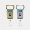 Balanza Electrónica Portátil Pequeña para Uso Doméstico, Pesa de 50 Gramos a 50 Kg, Balanza de Gancho de Resorte Portátil de Alta Precisión