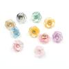 Botones de Flor de Diamante Estéreo con Purpurina de Dos Colores Coloridos Camisa Dinastía Han Ropa para Niños Botones Decorativos Joyería DIY
