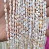 Cuentas de arroz de concha de agua dulce natural 4x6 mm 12 colores pulsera semiacabada borla diy material para accesorios hechos a mano