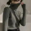 Camiseta interior con cuello de pelo para mujer, adelgazante, otoño e invierno, estilo nuevo, suéter interior, top de cuello alto, jersey ajustado, suéter suave y pegajoso