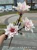 2024 Novo Casamento Rosa Flor Simulada Atacado Rosa Phalaenopsis Tulipa Hortênsia Branca Peônia Comércio Exterior