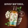 Champú Anticaída Bee Flower Nueve Botellas Sólido Cabello Rico Esponjoso Fuerte Antirotura Calmante Esencia Champú Genuino