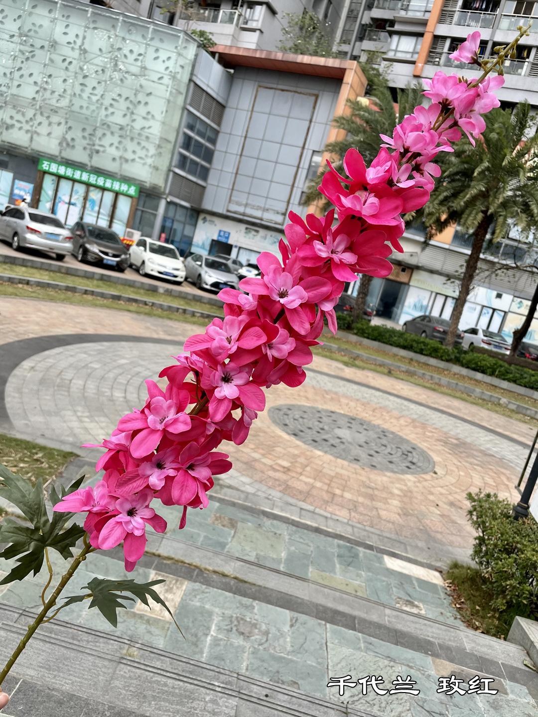 微信图片_20220102140752