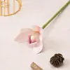 Flores Artificiales Plantas Verdes Flores de Seda Flores de Simulación Phalaenopsis Individual Arreglo Floral para Sala de Té China Accesorios para Disparos Decoración Flores Decorativas